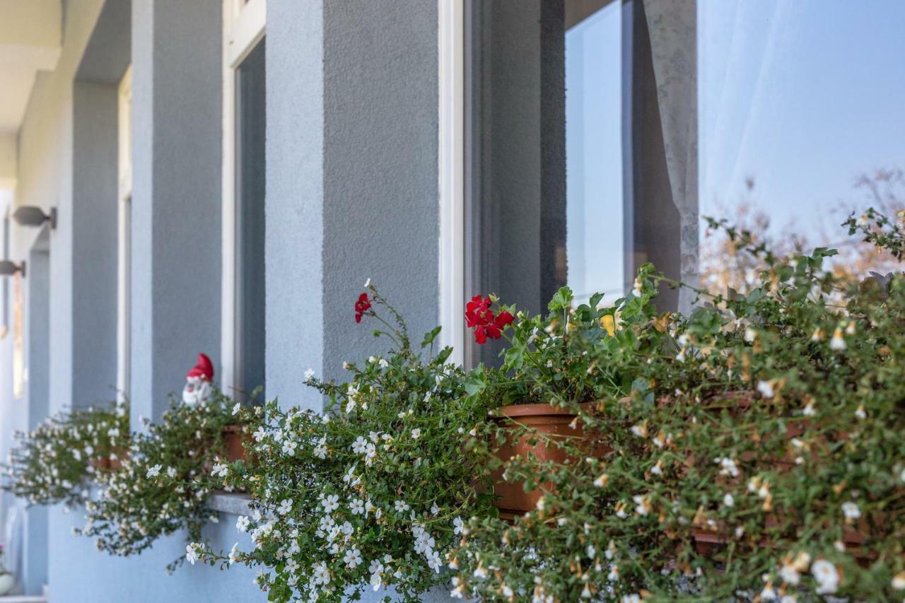Apartment Snjezana سلوني المظهر الخارجي الصورة